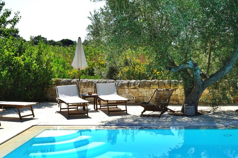 Masseria Trulli e Vigne