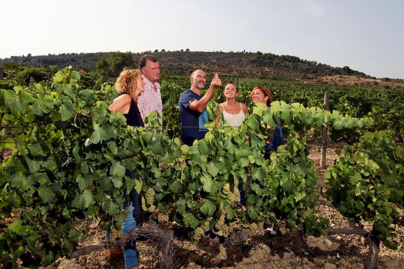 Winery Hotel - Mastinell Cava & Boutique Hotel