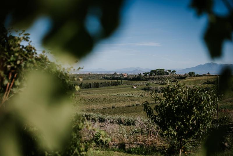 Hotel for Adults only - Merumalia Wine Resort