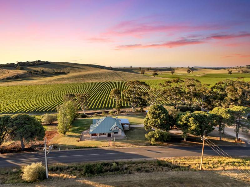 Wine hotel - Norm's Vineyard Retreat