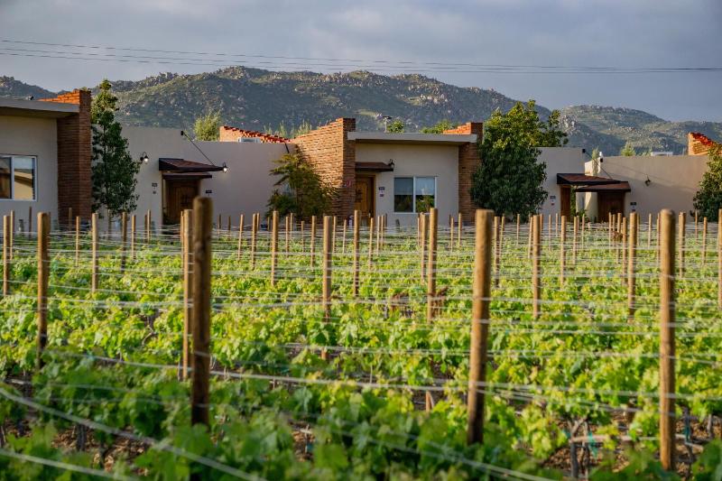 Hotel for Adults only - OJO AZUL RESORT