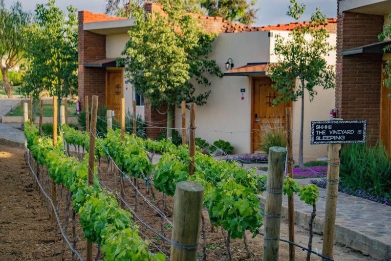 Winery Hotel - OJO AZUL RESORT