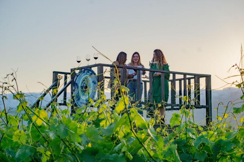 Winery Hotel - OJO AZUL RESORT