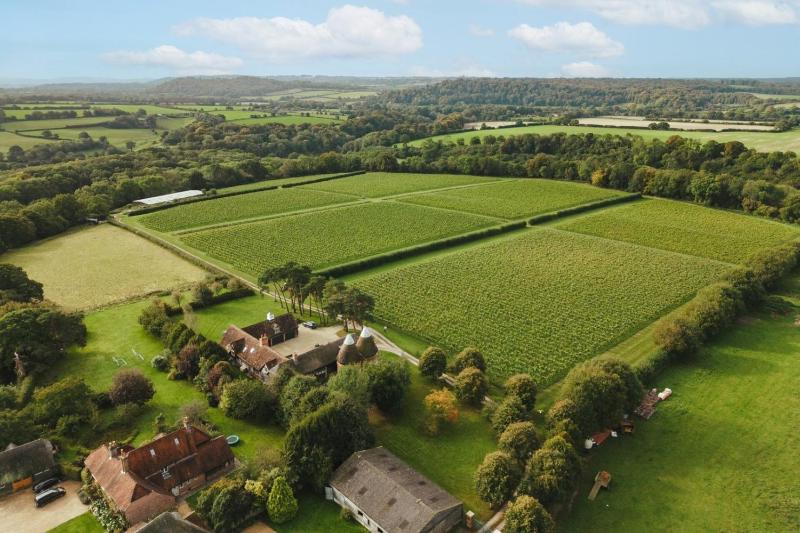 Wine hotel - Owl's Perch - Otium Wine Estate