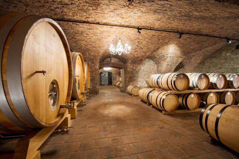 Hotel for Adults only - Palace Art Hotel Pezinok