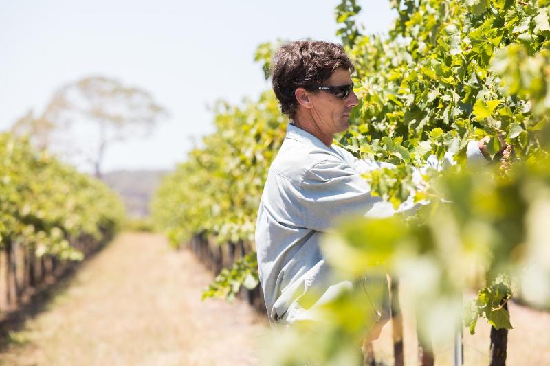 Hotel for Adults only - Petersons Armidale Winery and Guesthouse