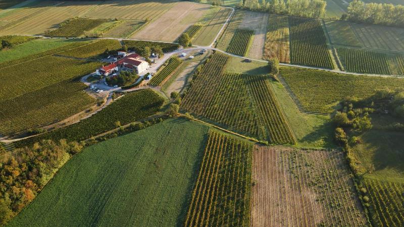 Posestvo Rouna - winery and apartments photo 3