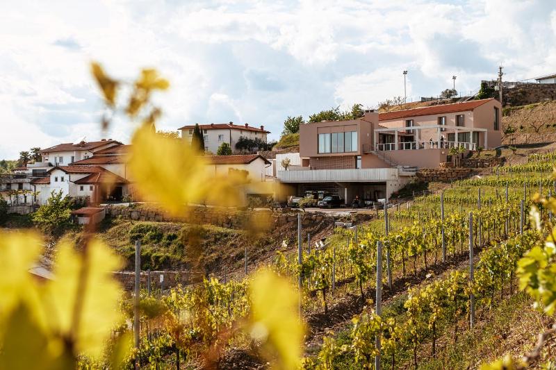 Winery Hotel - Posestvo Ščurek wine