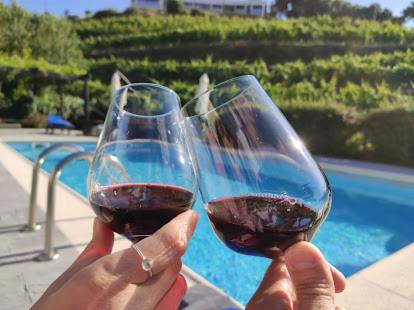 Winery Hotel - Quinta da Casa Cimeira, Guest House, Wines & Food