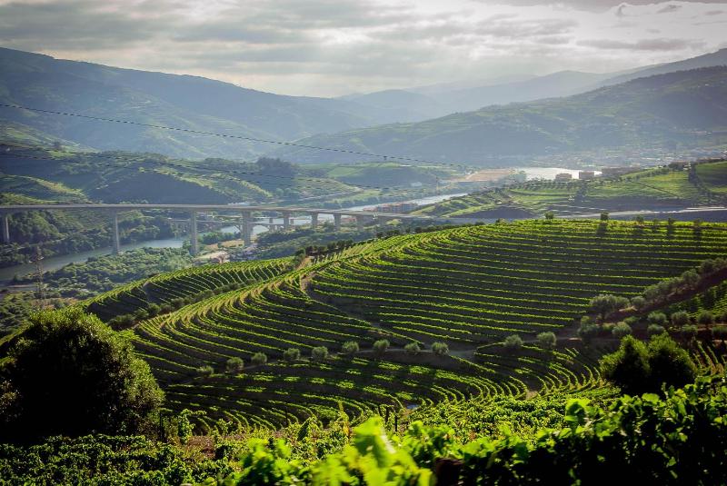 Quinta do Vallado - Douro Wine Hotel photo 2