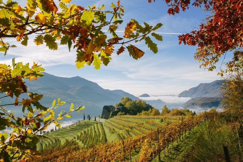 Hotel for Adults only - Relais Castello di Morcote