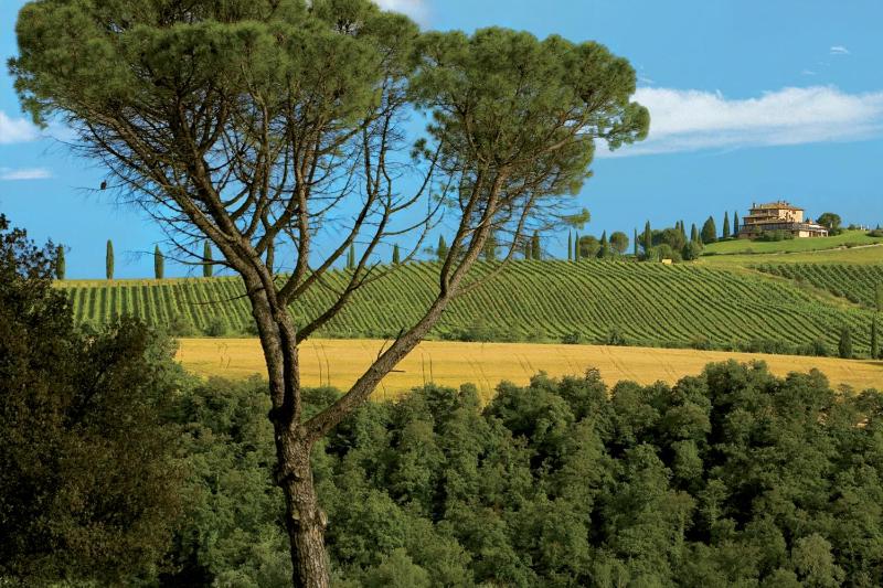 Wine hotel - Relais Todini