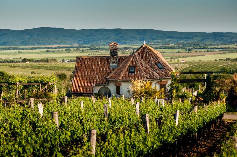 Hotel for Adults only - Robinson Vila Kitokret