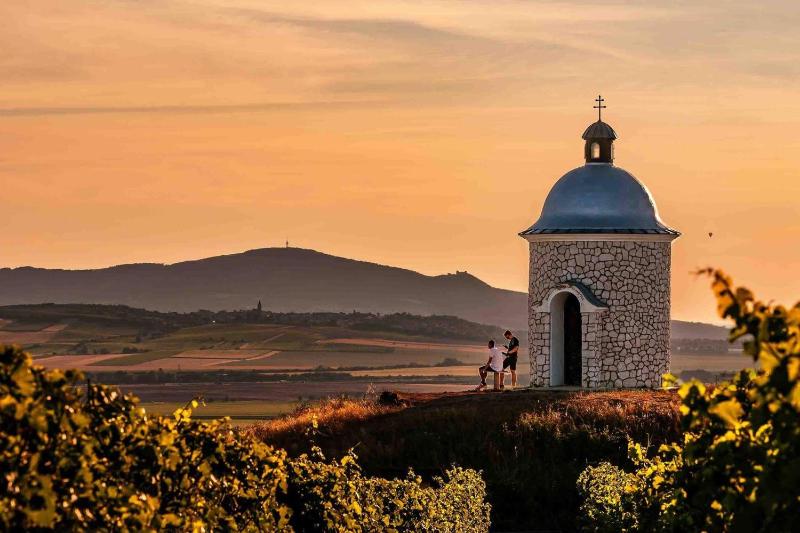 Hotel for Adults only - Rodinné Vinařství Skoupil