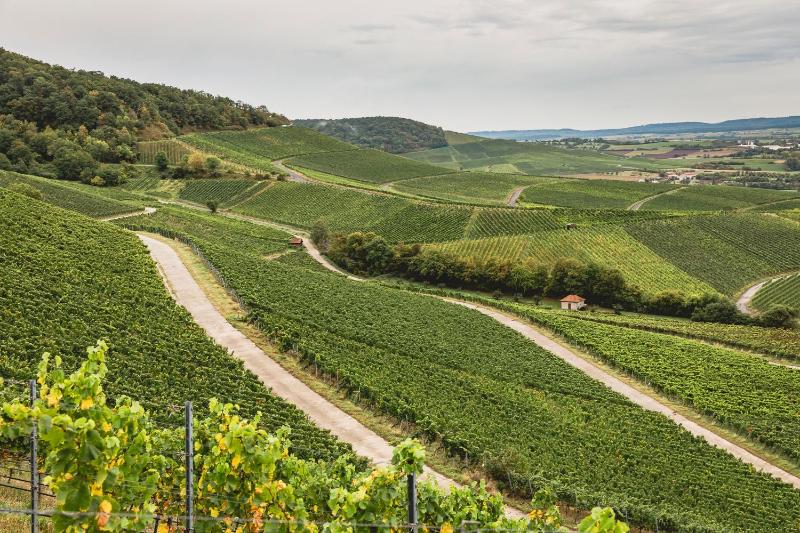 Hotel for Adults only - Romantik Hotel Zehntkeller