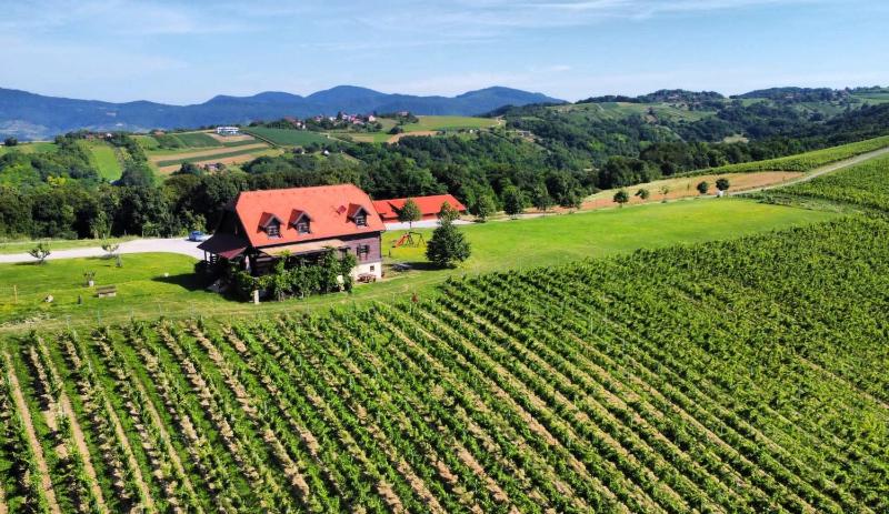Wine hotel - Rooms Bolfan Vinski Vrh