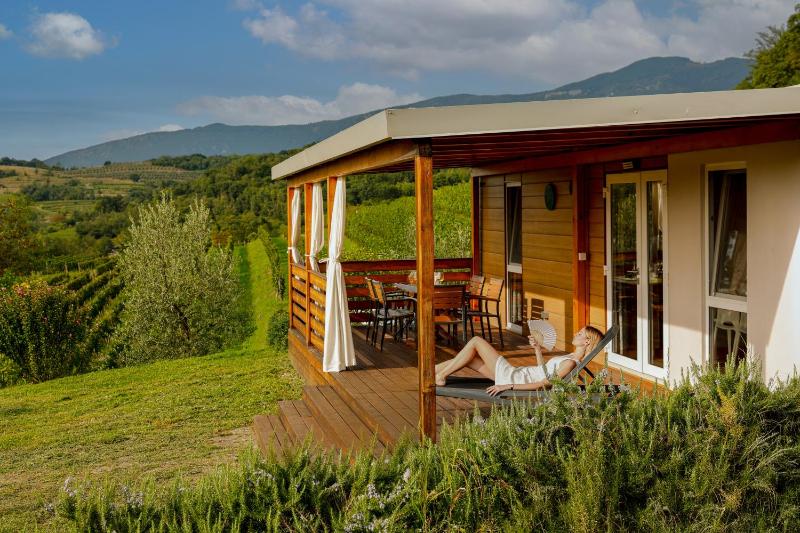 Saxida Wine Estate photo 3