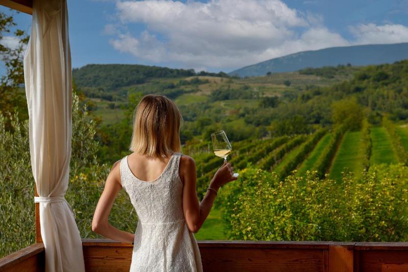 Saxida Wine Estate photo 4