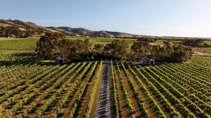 Seabrook Vineyard Retreat photo 3