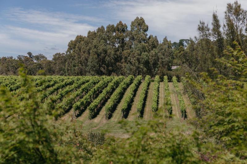 Seville Estate photo 2