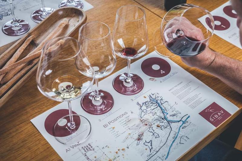 Šibav Wine&Tourism B&B photo 2