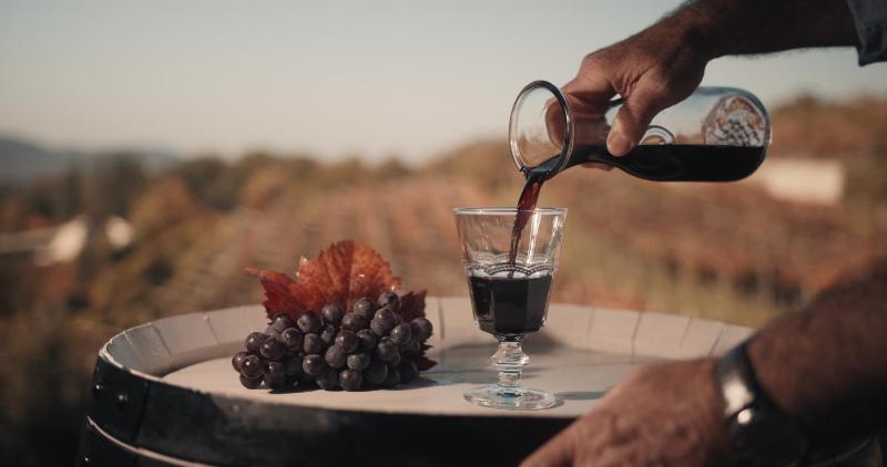 Škerlj Wine Estate photo 2