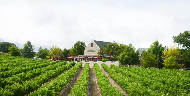 Wine hotel - Skilpadvlei Wine Farm
