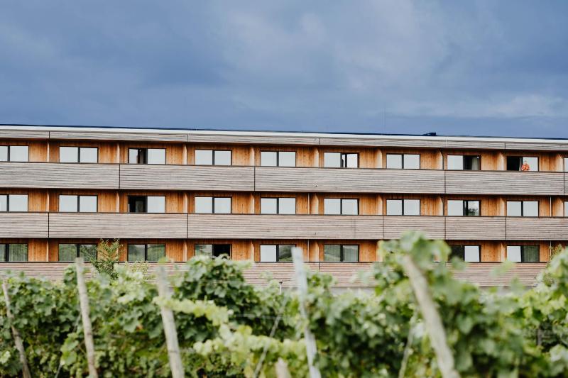 Hotel for Adults only - Sonnenhotel Weingut Römmert Spa und Wellness