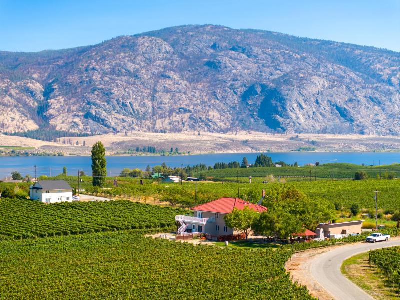 Hotel for Adults only - Sonora Desert Inn