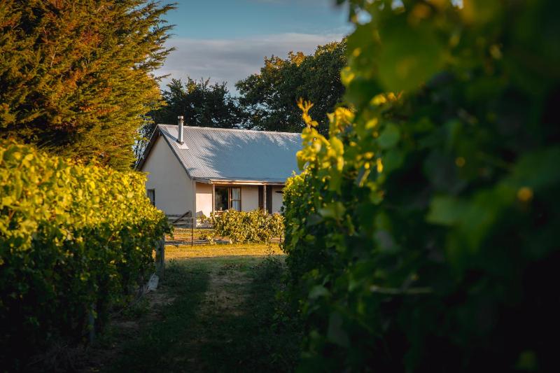 Wine hotel - St Leonards Vineyard Cottages