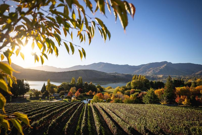 Hotel for Adults only - Stoneridge Estate