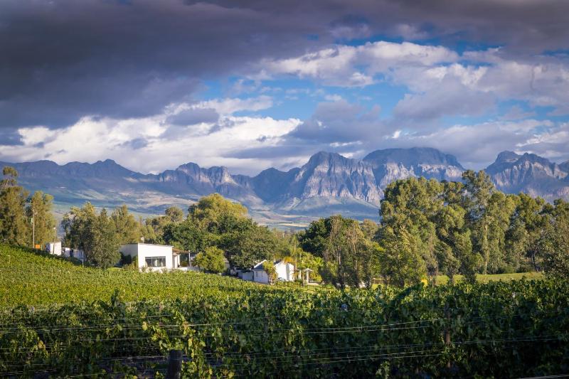 Wine hotel - Tempel Wines