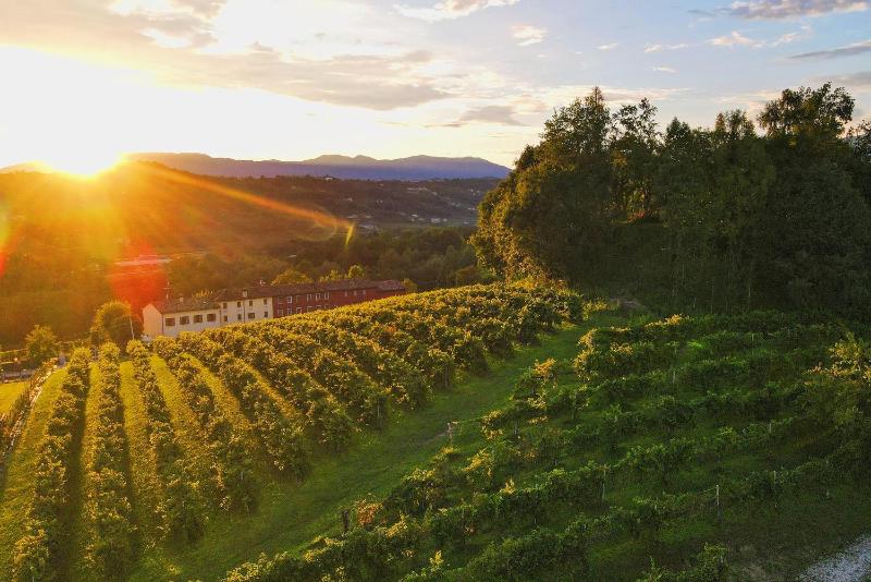 Wine hotel - Tenuta Mani Sagge