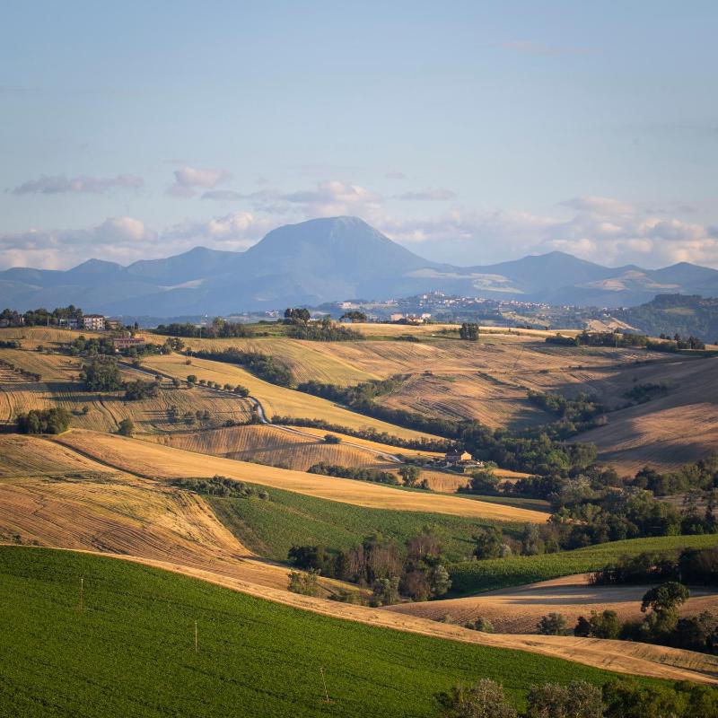 Tenuta San Marcello