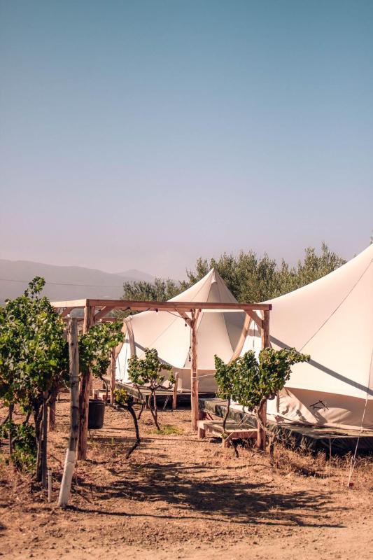 Hotel for Adults only - The Pangea Valle de Guadalupe