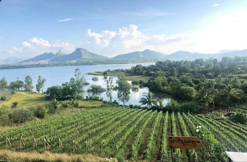 Wine hotel - Vallonne Vineyards