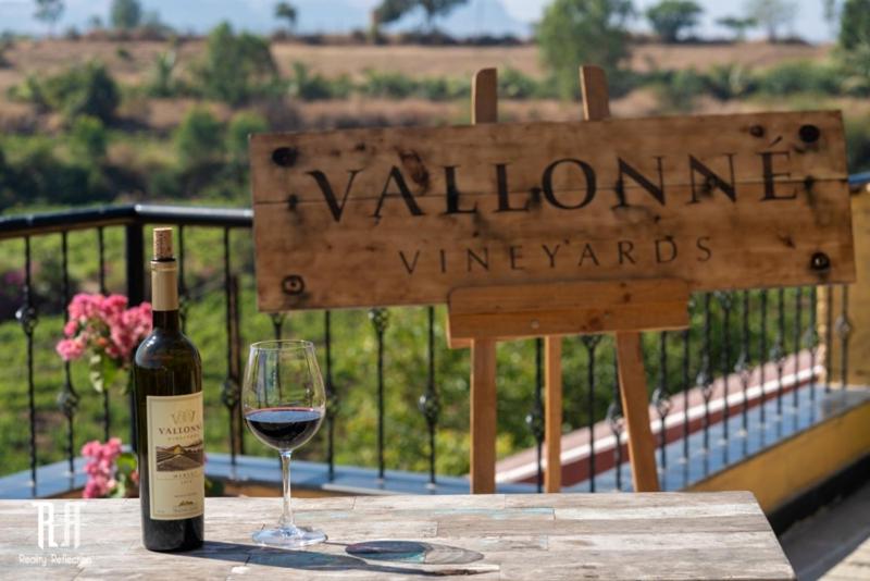 Vallonne Vineyards