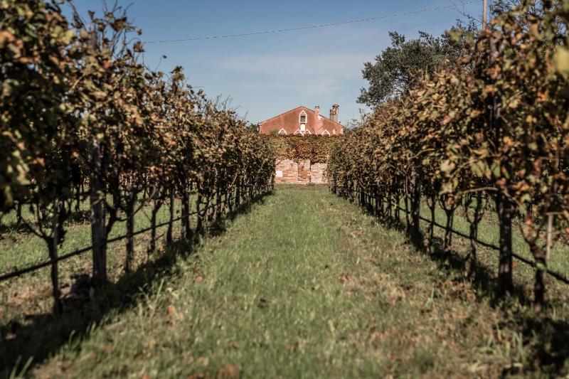 Hotel for Adults only - Venissa Wine Resort