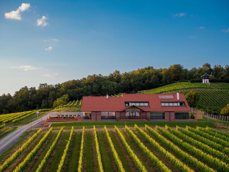 Hotel for Adults only - Vila Vinkomir