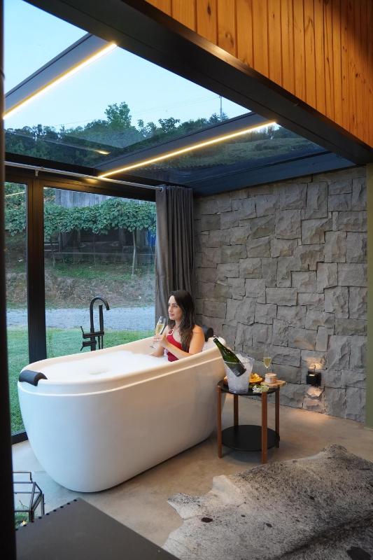 Winery Hotel - Villa Alpina Cabanas