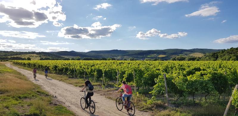 Hotel for Adults only - Villa Vinica