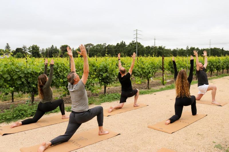 Vinarosa Resort & Spa