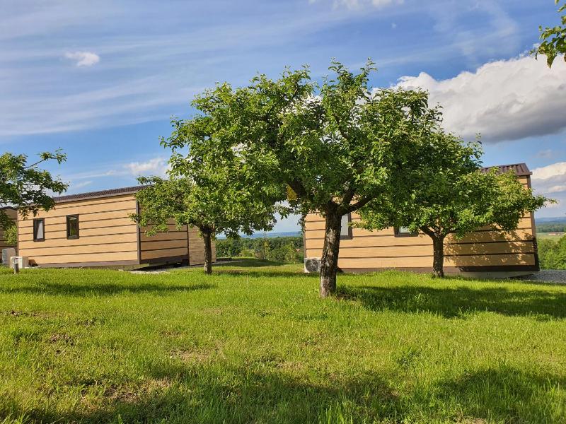 VINEA PANONIKA wine & mind retreat photo 3