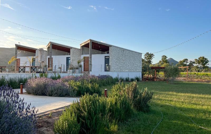 Hotel for Adults only - Viñedo Casa la Noria