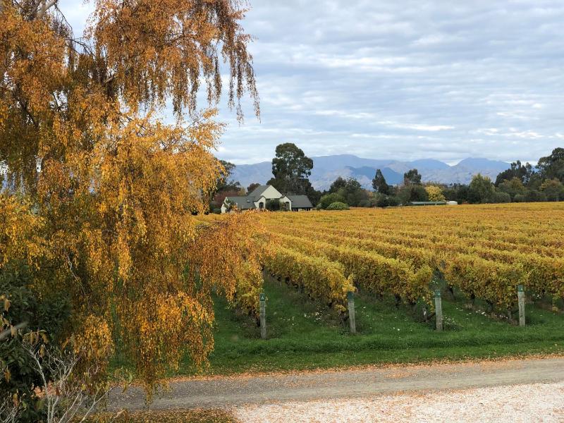 Wine hotel - Vineyard Cottage in Blenheim on the Golden Mile
