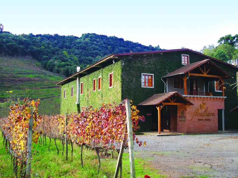 Hotel for Adults only - Vinicola e Pousada Peculiare