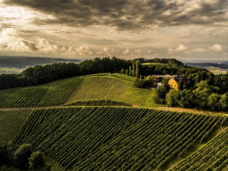 Weingartenhotel Harkamp Südsteiermark