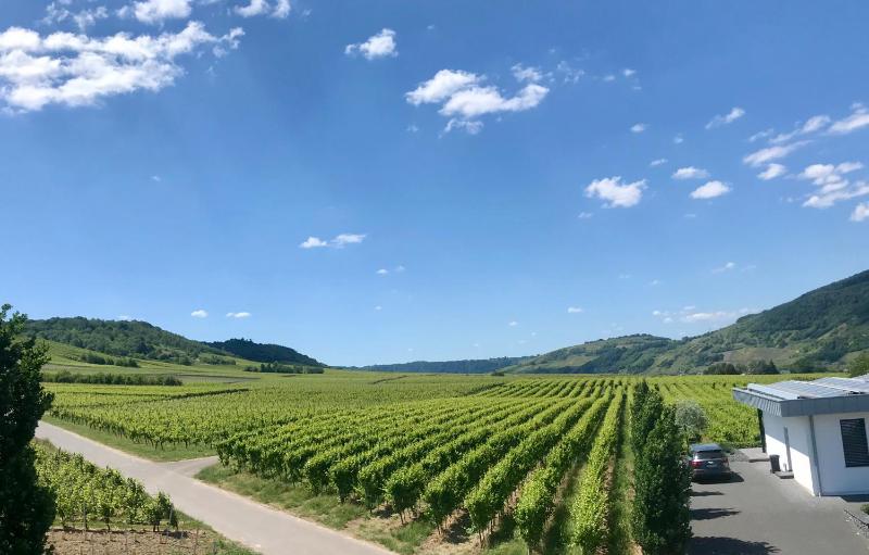 Weingut Gehlen-Cornelius