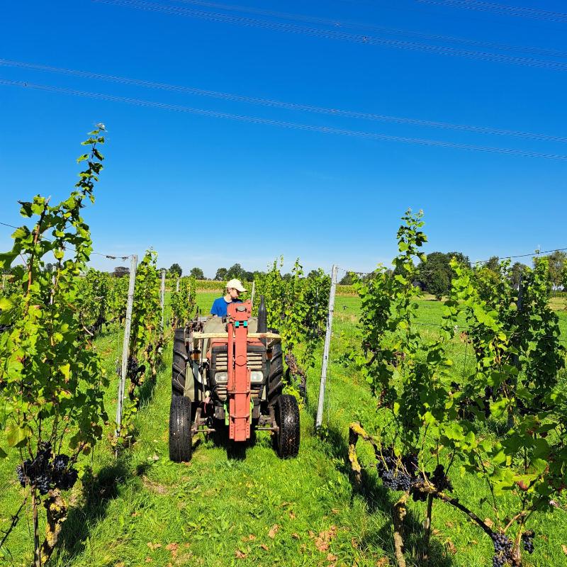 Winery Hotel - Wijnstaete