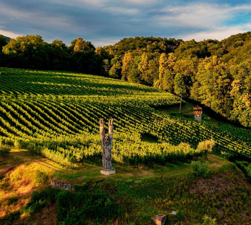 Wine & Art Relais Vallombrosa photo 4